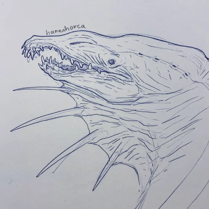 Salmon 