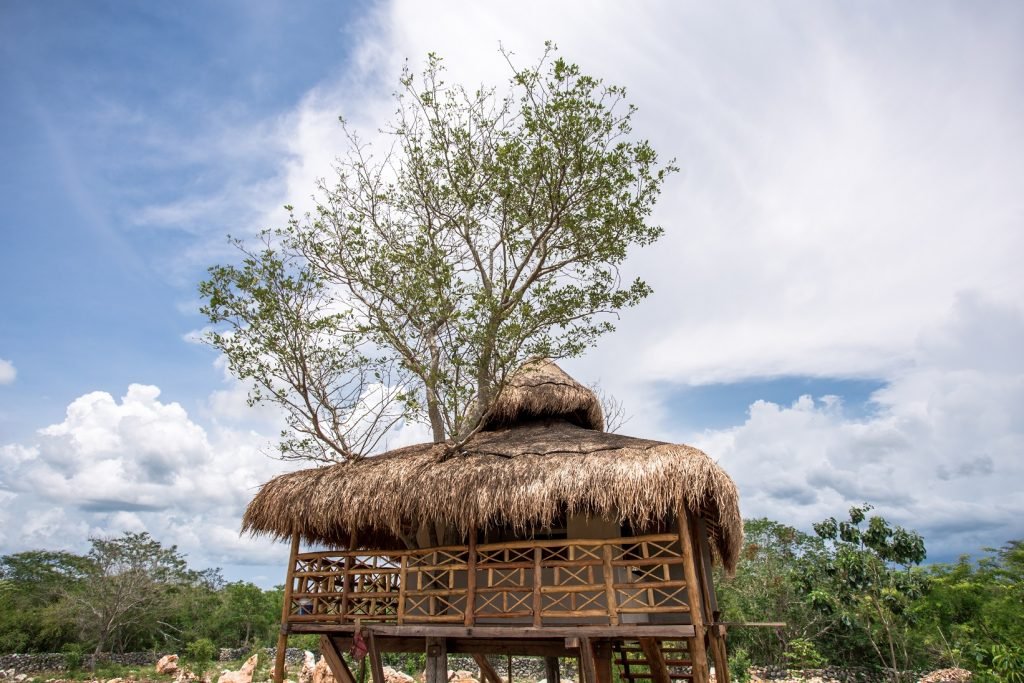 Revista_Yucatan's tweet photo. Asómate al #InframundoMaya, Cabañas Quetzal, una maravilla natural ✨❤️

Vive la esencia de estar en una comunicad maya combinada con un toque de glamour exótico dentro del complejo #CabañasQuetzal y sus dos cenotes: San Isidro y Calixcutz.

👉 https://t.co/bKrkUAVXM9 https://t.co/WQWggTllm5