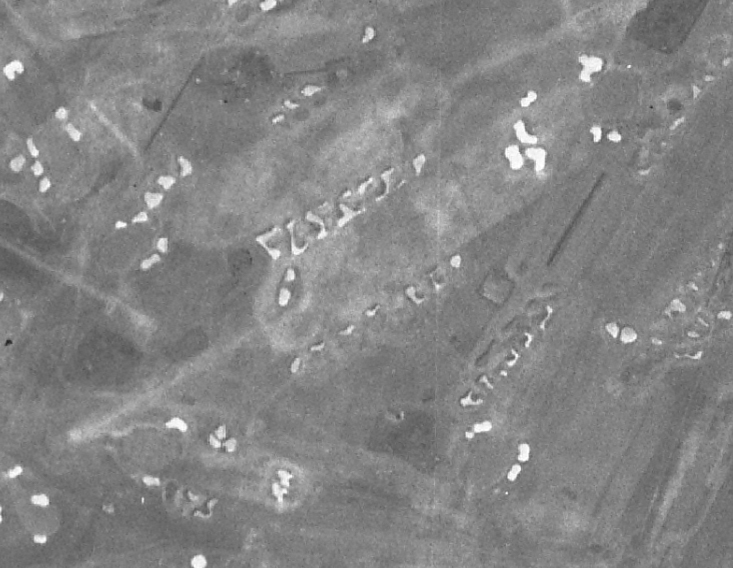 joemmcdonne11's tweet image. Lytham wasn&apos;t the only Lancashire course to have eye-popping bunkering back in the 40s. Here&apos;s its neighbour, Fairhaven. Some of the fairway bunkers look like vertebrae from a super sized dinosaur skeleton. Love it