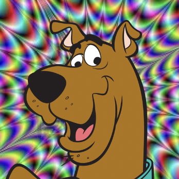 CarterDaChef's tweet image. #NewProfilePic