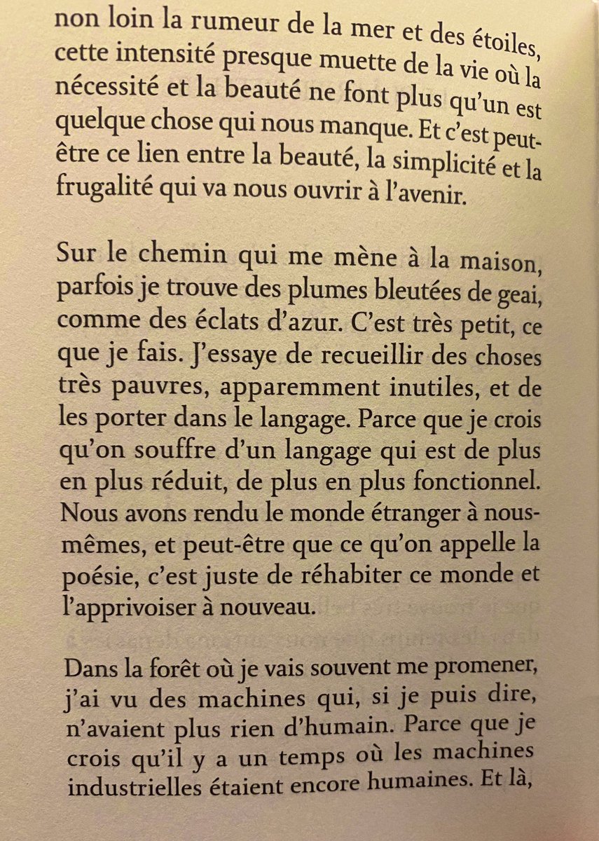 "Nous avons rendu le monde étranger à nous-mêmes, et peut-être que ce qu’on appelle la poésie, c’est juste de réhabiter ce monde et l’apprivoiser à nouveau"
Magnifique Christian Bobin, "Le plâtrier siffleur", une lumière en ces temps troublés.
Pour voyager &amp; rêver ↘️
#littérature