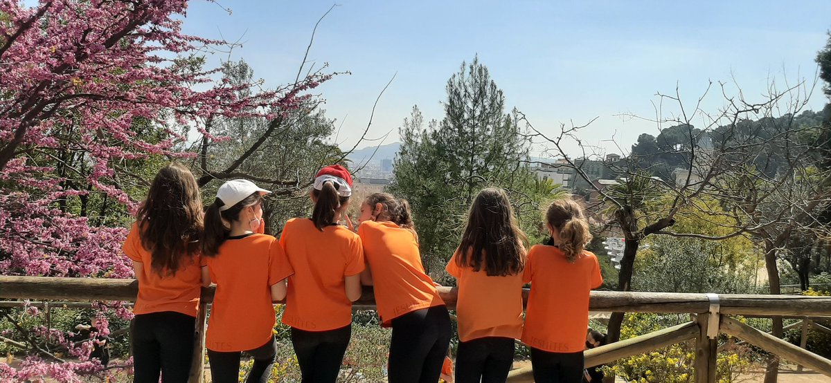 txellartacho's tweet photo. Quin luxe l'entorn que tenim a #JEGràcia 🌿 Els nens i nenes de #PIN4 han gaudit descobrint la ciutat de mans de l' #aulaambiental @boscturull des del mirador de les #trescreus al #ParcGüell #Barcelona #Sortida #Primària #Educació #CicleMitjà #alumnesimestresfeliços @JesuitesEdu https://t.co/OLojc2RClH