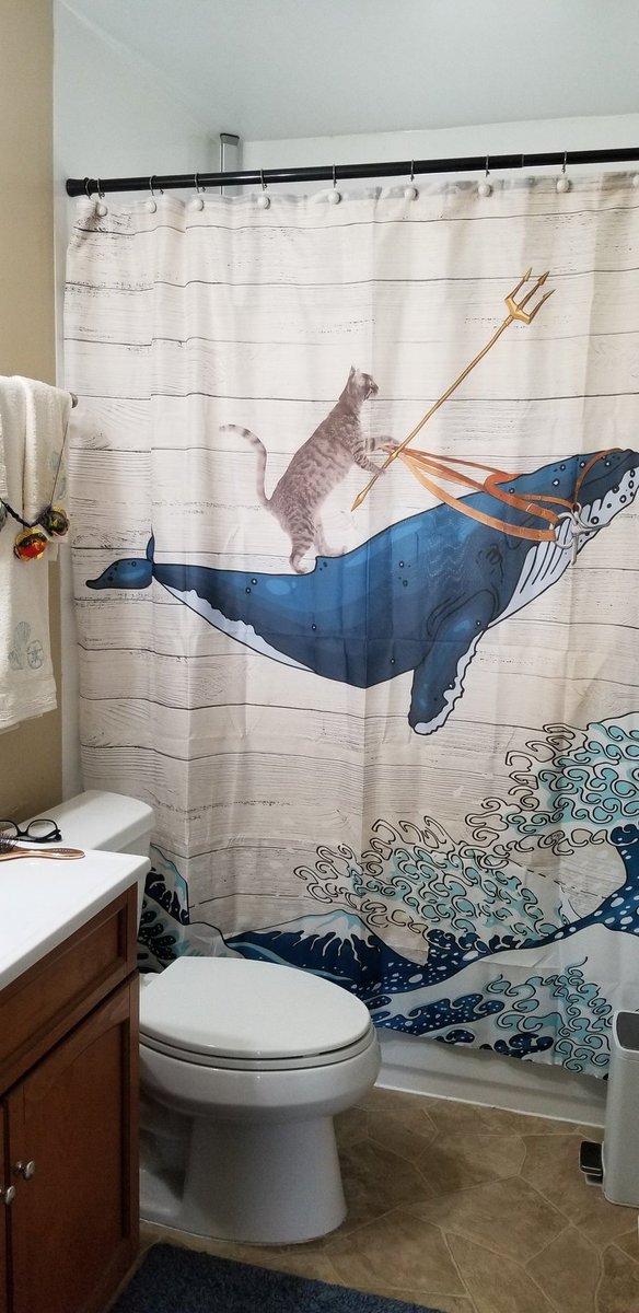 YOUwannaNOLive's tweet image. This is what happens when  @CavalierDitch is in charge of decorating.... lowkey though, I'm not mad about it 😂😂 best shower curtain ever!