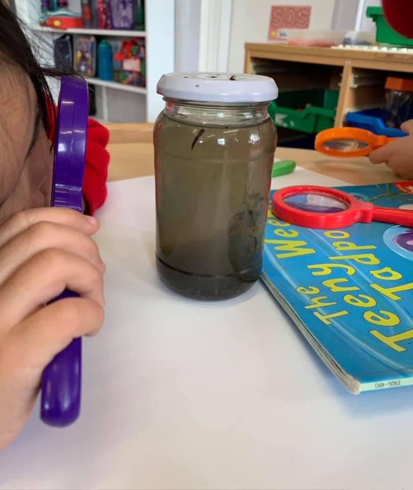 newcloseschool's tweet photo. Rabbit class have been learning about the life cycle
of a frog. Today they enjoyed using magnifying glasses to view the tiny tadpoles that had hatched from the frogspawn 🐸. https://t.co/8jN8HBdzcd