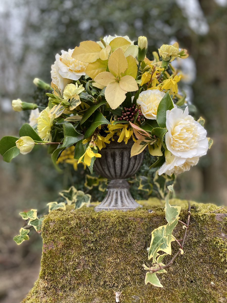 AshdownEvents1's tweet photo. Spring colours for this centrepiece 
#weddingflowers #sussexweddingflorist #sussexbride https://t.co/ALwf9aw1FV