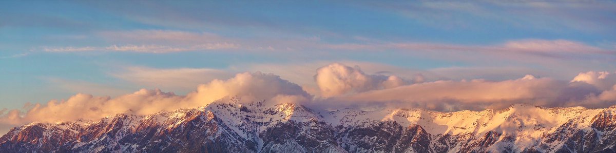 ms_ill_pix's tweet photo. Cotton Candy ~ ☁️

https://t.co/zkbY0qZxKj https://t.co/Ig5V2SQDSR