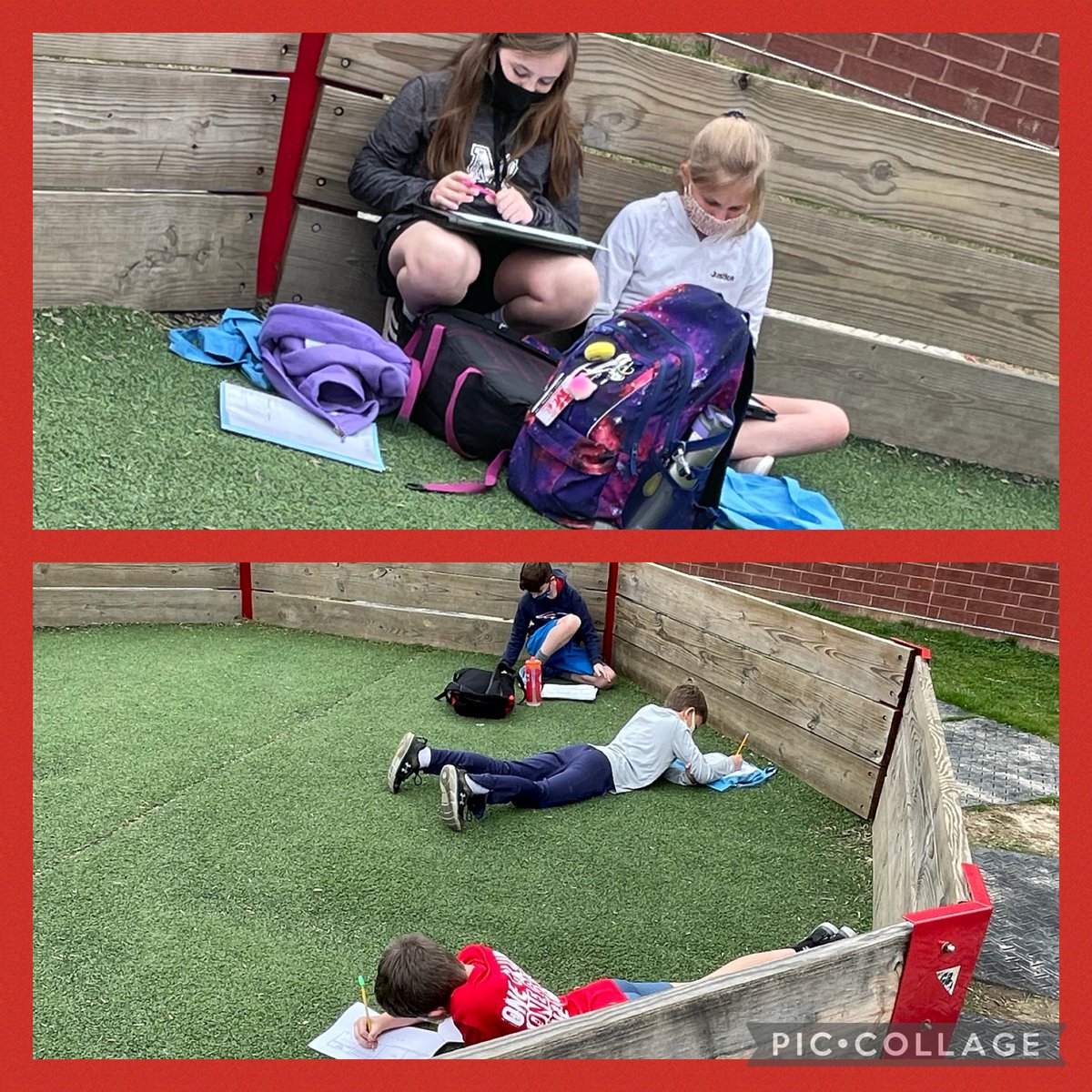 Sarah Ryan tweet media