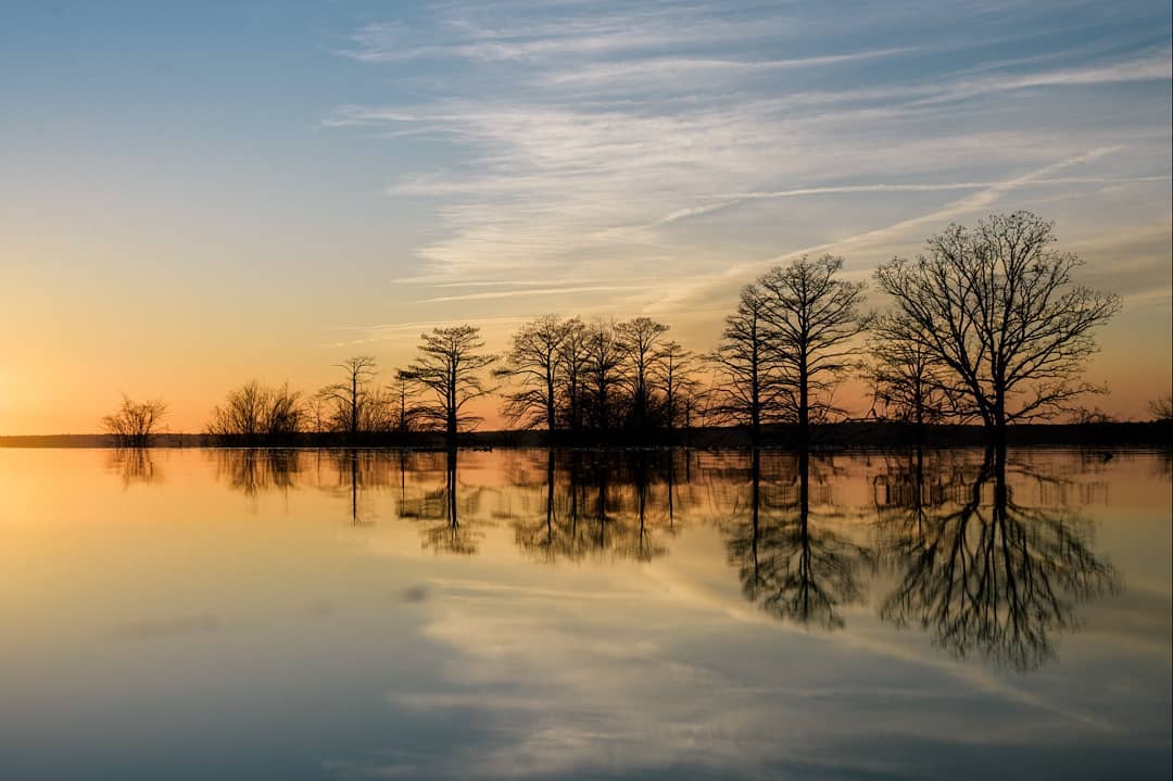 MSFilmOffice's tweet photo. Have you ever driven by a unique spot near your home and thought, "someone should make a movie here?" Tag your pictures #YourMississippi to be featured!

EXT. SARDIS LAKE - DUSK. Trees on Sardis Lake near Oxford, MS. Photo from Paul Gandy. (tpgandy on Instagram) https://t.co/pVIYAKUT2R