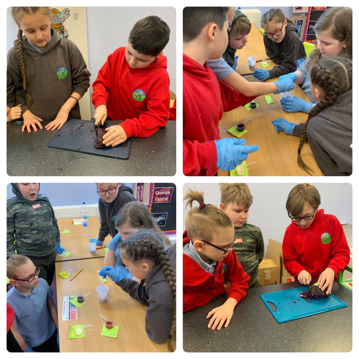 PentrerGraig's tweet photo. #pgpjupiter thoroughly engrossed in their science investigation this week testing the pH of different substances. #pgpscience #pgpthinkingskills https://t.co/iIRoGCVJ7f