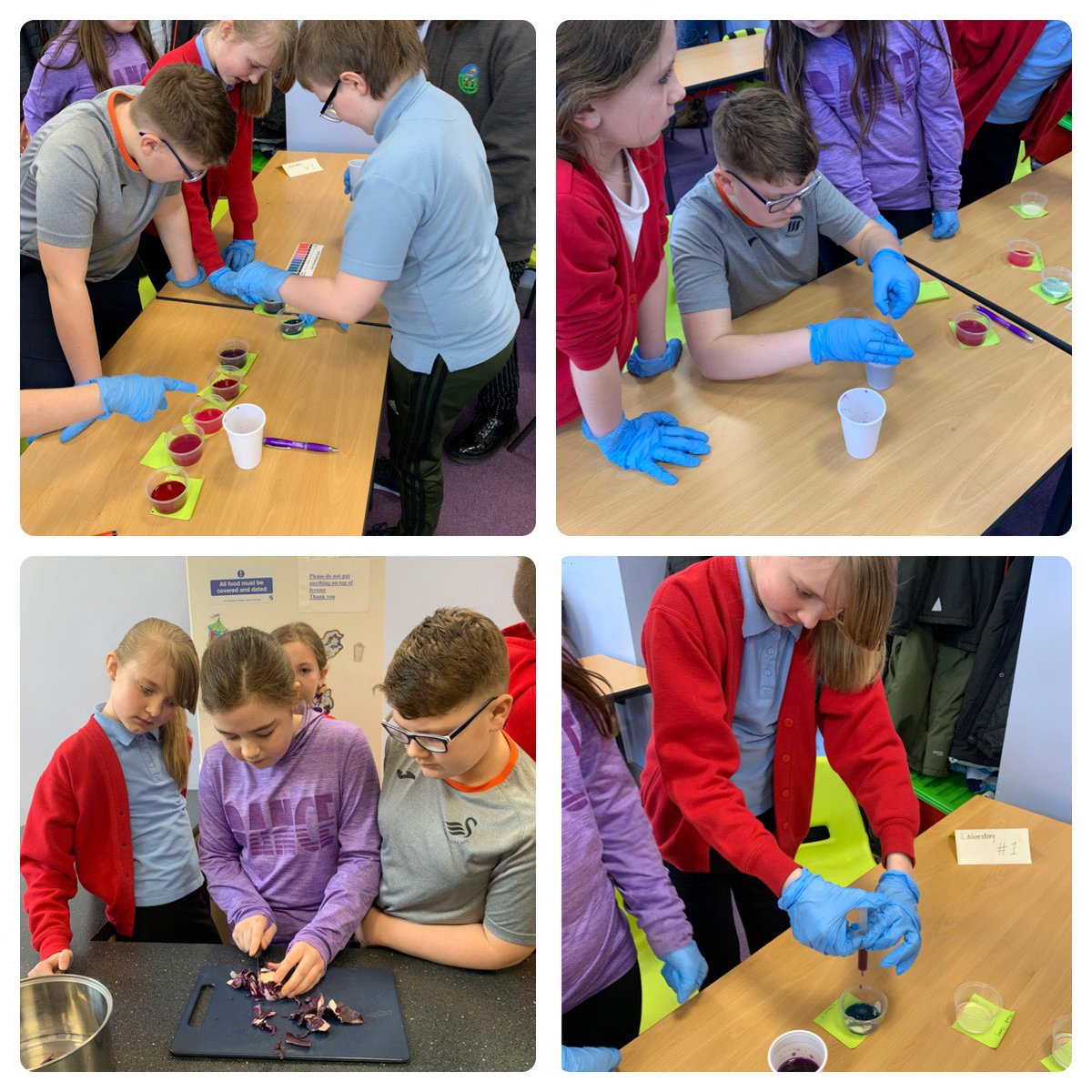 PentrerGraig's tweet photo. #pgpjupiter thoroughly engrossed in their science investigation this week testing the pH of different substances. #pgpscience #pgpthinkingskills https://t.co/iIRoGCVJ7f