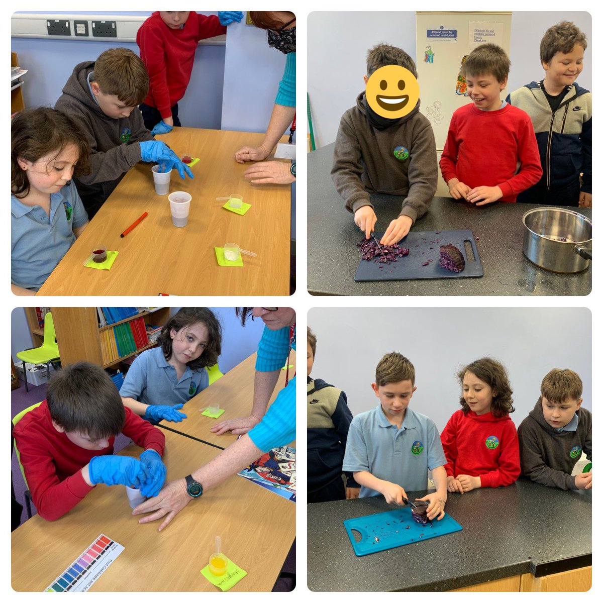 PentrerGraig's tweet photo. #pgpjupiter thoroughly engrossed in their science investigation this week testing the pH of different substances. #pgpscience #pgpthinkingskills https://t.co/iIRoGCVJ7f