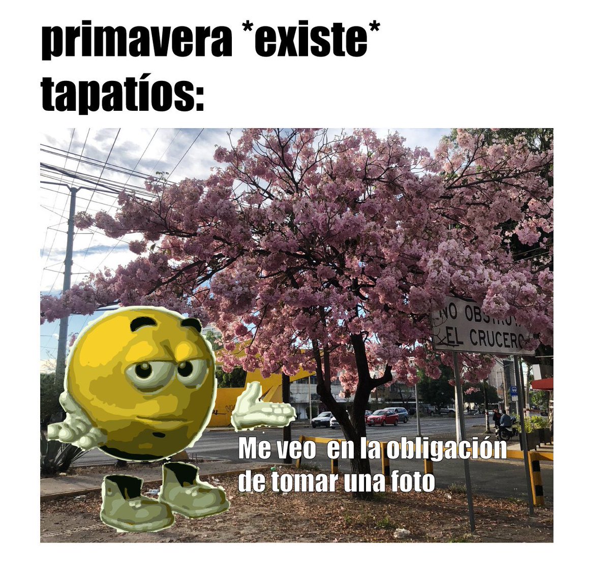 Alex Hermosillo tweet media