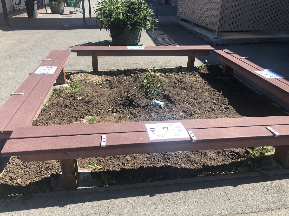 Jennifer Sachs tweet media