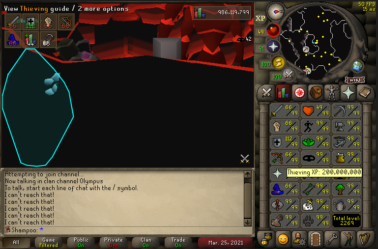 Shampoo_RS tweet media