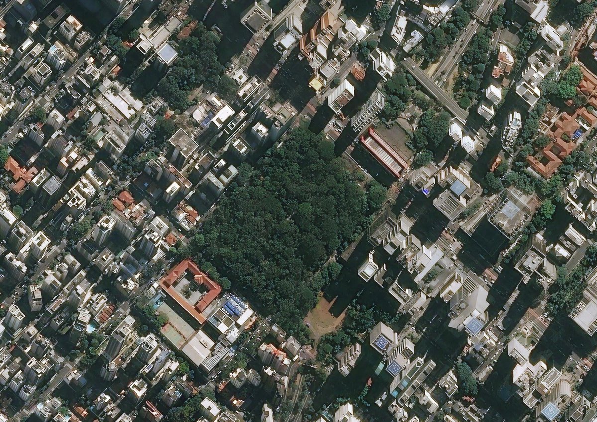 Tá vendo esse quadrado verde no centro dessa imensidão cinza? Sabia que isso é uma remanescente de Mata Atlântica, no meio da maior cidade da América do Sul? A hostilidade de SP para a biodiversidade é clara, a ocupação urbana no bioma deixou marcas permanentes+
