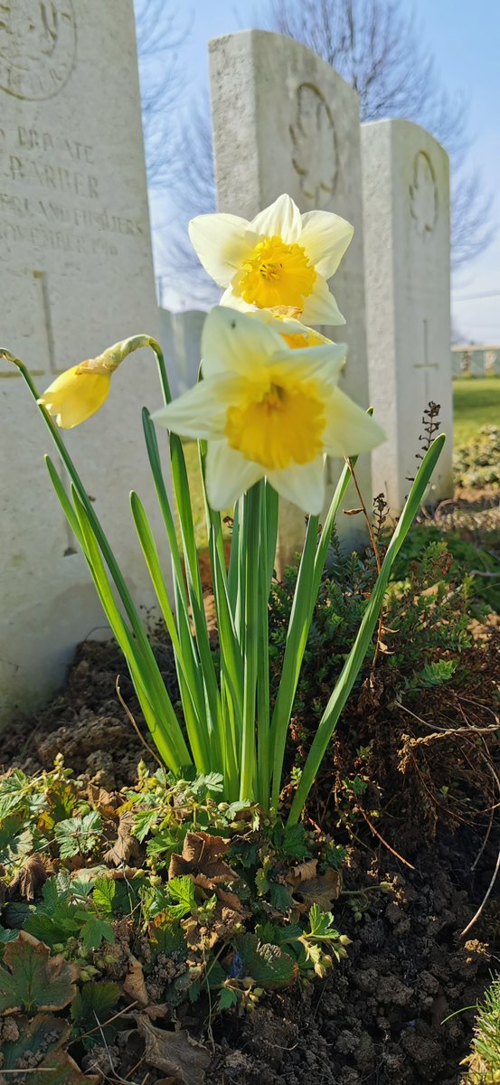 SamuelRebeille2's tweet photo. @CWGC  site take on color #FlesquieresHillBritishcemetery https://t.co/vM5fVZqbq8