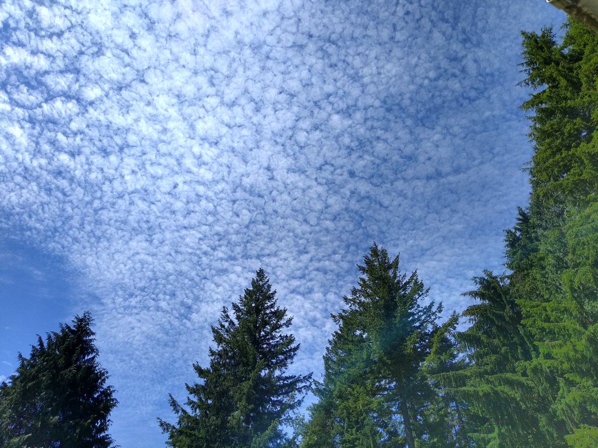 ForestServiceNW's tweet photo. “Forget not that the earth delights to feel your bare feet &amp; winds long to play with your hair.” 

--Kahlil Gibran https://t.co/2UC5WkotY3