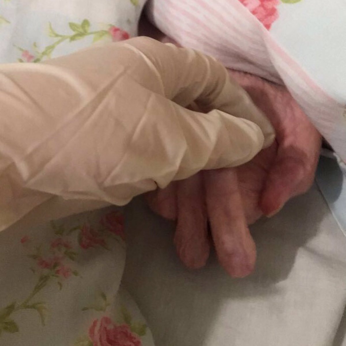 _tiffanyhall's tweet photo. holding hands with my grandma for the first time in over a year, a special moment i will cherish forever https://t.co/eZODD7iBIw