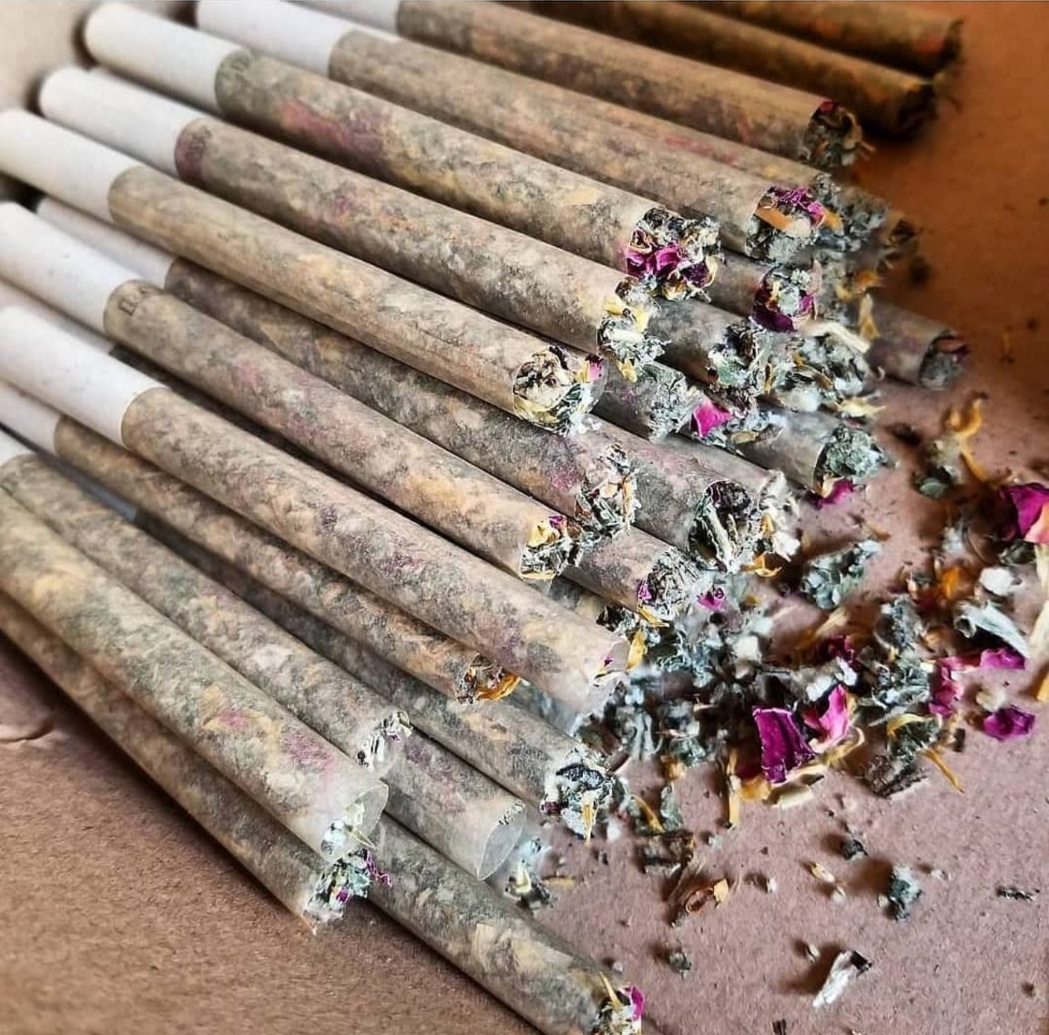 trimdcannabis's tweet photo. “That’s not a drug. It’s a leaf.” –Arnold Schwarzenegger
https://t.co/67g1rLsL7g
📸: @lighthousetraversecity
#TRIMD #cannabis #legalcannabis #420 #joint #preroll #ontariocannabis #thc #cannabisedibles #cannabisproducts #420daily #weed #ontarioweed #trimdcannabis #trimd #cbd https://t.co/27r0hx2iY1