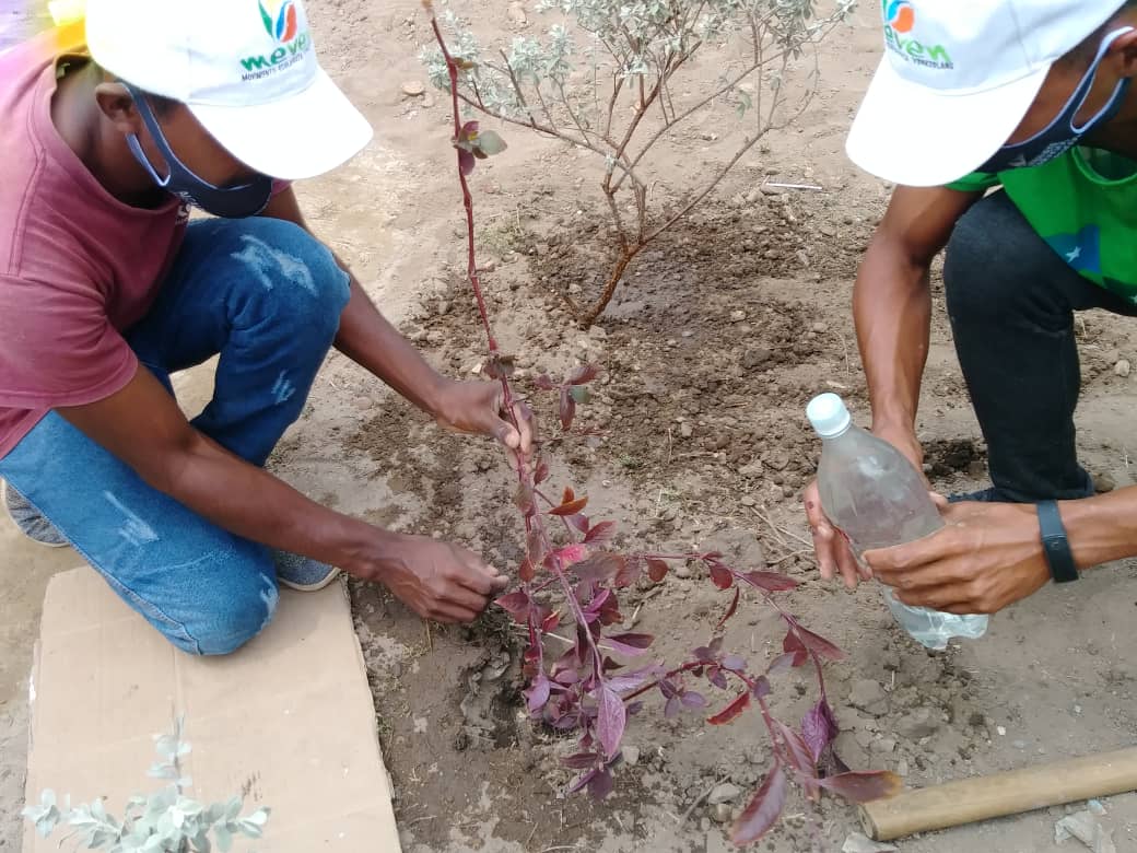 SomosMeven's tweet photo. En aras de fortalecer el proyecto de reciclaje "Todo se Transforma", el Meven Anzoategui ha iniciado el Plan Zona Verde junto a la Corporación de los Servicios Públicos, que busca la instalación de 100 puntos con contenedores para clasificar el desecho sólido.

#LaCovidNoEsCoba https://t.co/c6PbLxtuV7