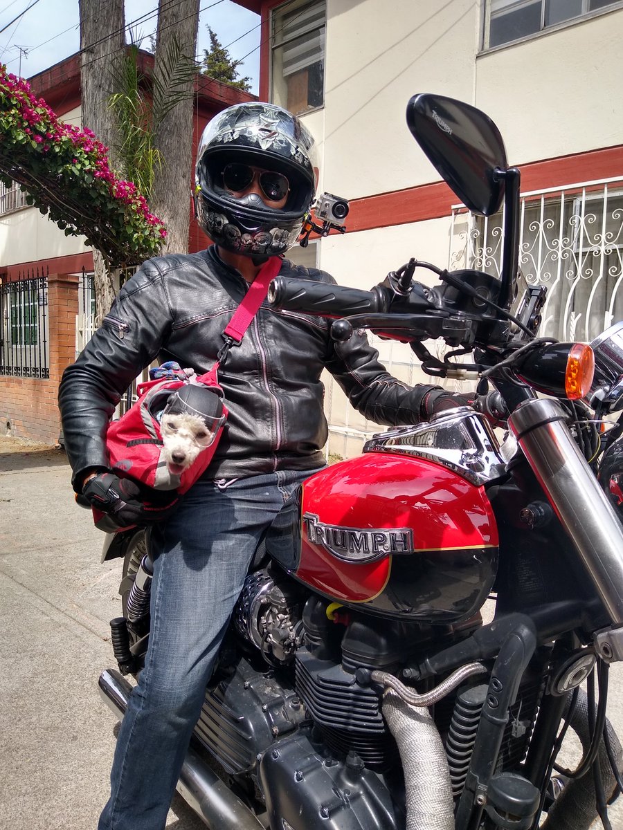 outlawmx's tweet photo. Otro cliente satisfecho y listo para rodar! 😊✌️

#CascosParaMascotas 🐾
📞5523785954
https://t.co/ycRkA165Ev

CDMX - Hacemos envíos a toda República Mexicana.

Aceptamos pago en efectivo, tarjeta de crédito/débito 💳 y transferencia interbancaria 💸 https://t.co/HRWZnO0Yl9