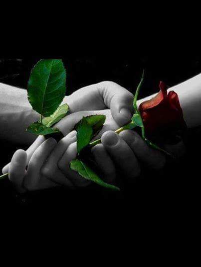 عندما يمتليء القلب باالحب الصادق
لافرقة  بين القرب والبعد 
فمن يعشق الروح 
لن ولم ...؟يجد في كل الأشخاص بديلآ 💖 بسومتي💖