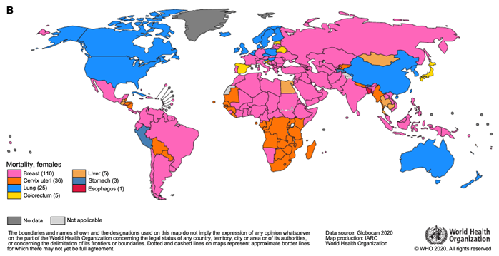 albertoruano8's tweet photo. Este mapa representa qué cancer causa la mayor mortalidad en mujeres en distintos países del mundo.
Rosa: cáncer de mama; azul: cáncer de pulmón

El mapa se irá tiñendo de azul. España incluida.

@gecp_org #laotrapandemia @sespas @AEACaP https://t.co/gjbOepfuS3