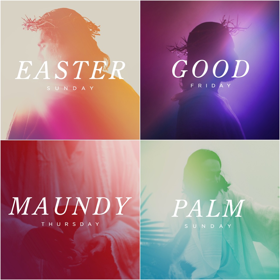 Igniter Media tweet media