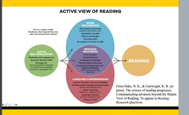 ThompsonEllenA's tweet photo. Nell Duke is my hero! So smart, clear, concise! Thank you.
@nellkduke  @ILAToday  #vermontliteracy https://t.co/eZb0vV3fMd