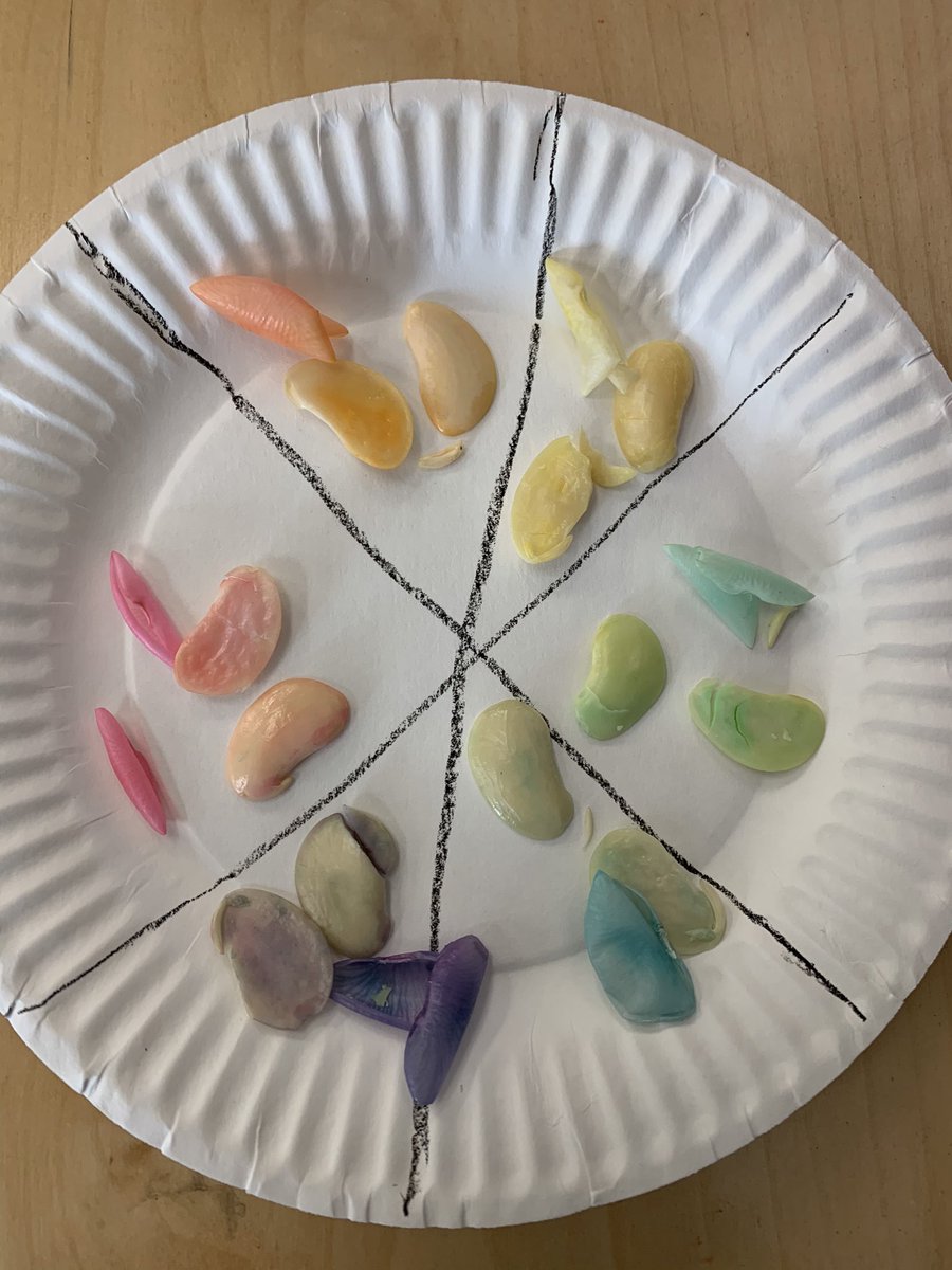 Megan Stuehm tweet media