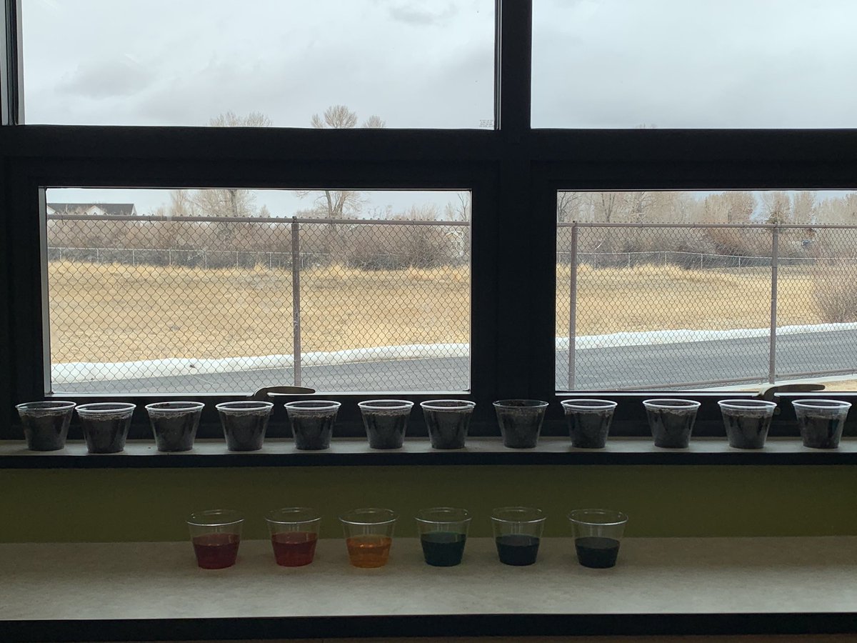 Megan Stuehm tweet media