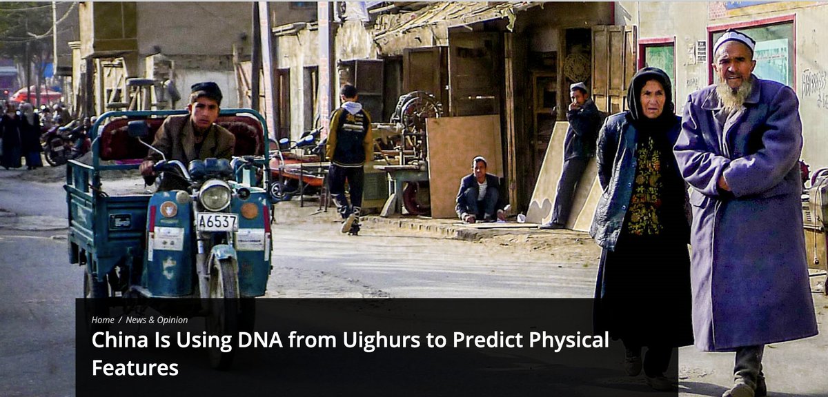 iMultai's tweet image. DNA from Uighurs held in Chinese detention camps are "being used to help Chinese researchers develop DNA phenotyping technology" to predict somebody’s skin color, eye color, ancestry, and other features, with the goal of visually identifying them from a genetic sample alone.