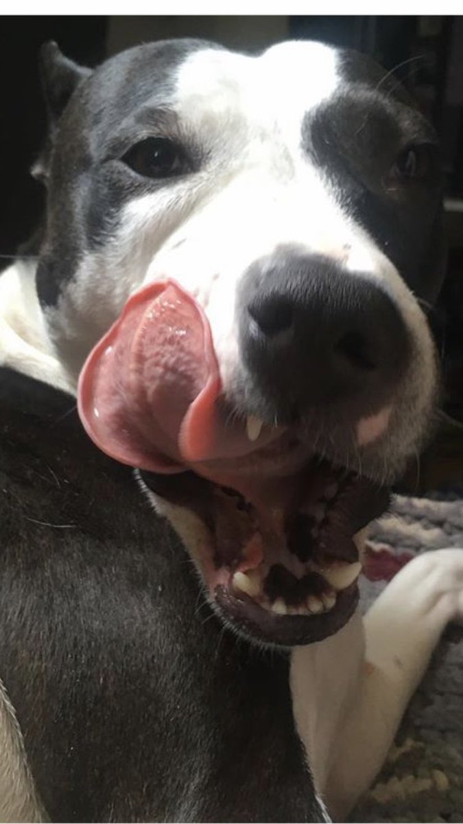 Gopal Menon tweet media