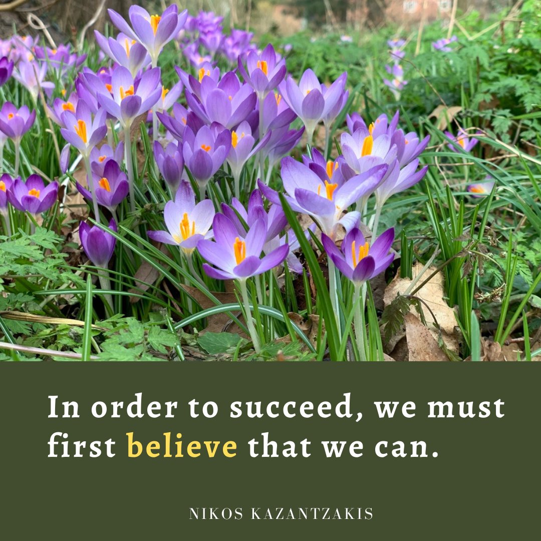 In order to succeed, we must first believe that we can.

Nikos Kazantzakis

#succeed #Believe #believeinyourself #wecandoit