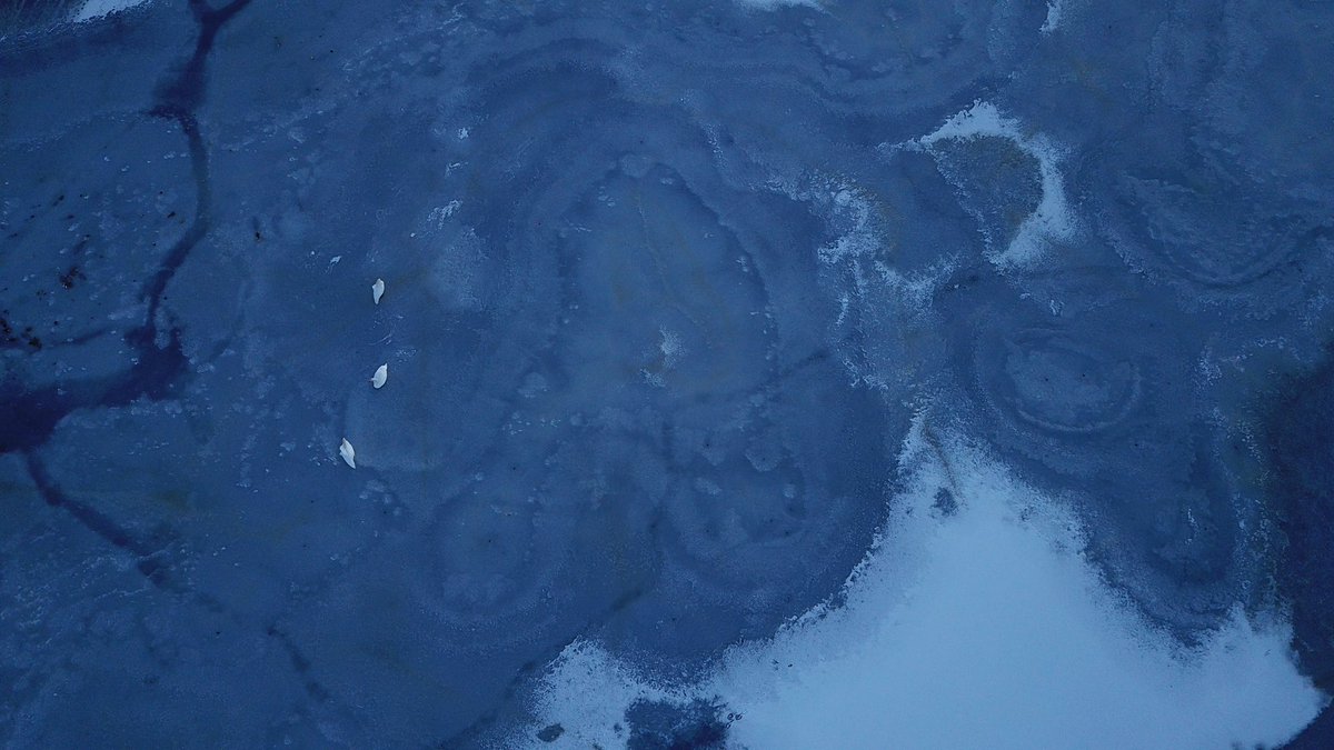 reizkultur's tweet image. The world looks more beautiful from above. Some of my favourite frames in ‘Explore your Boundaries’ with @MrMarkBeaumont, captured in the Scottish Borders, East Lothian &amp;amp; Midlothian. Just a short bike ride from #Edinburgh - you can watch the film now here: youtu.be/wCRG8-cEP50