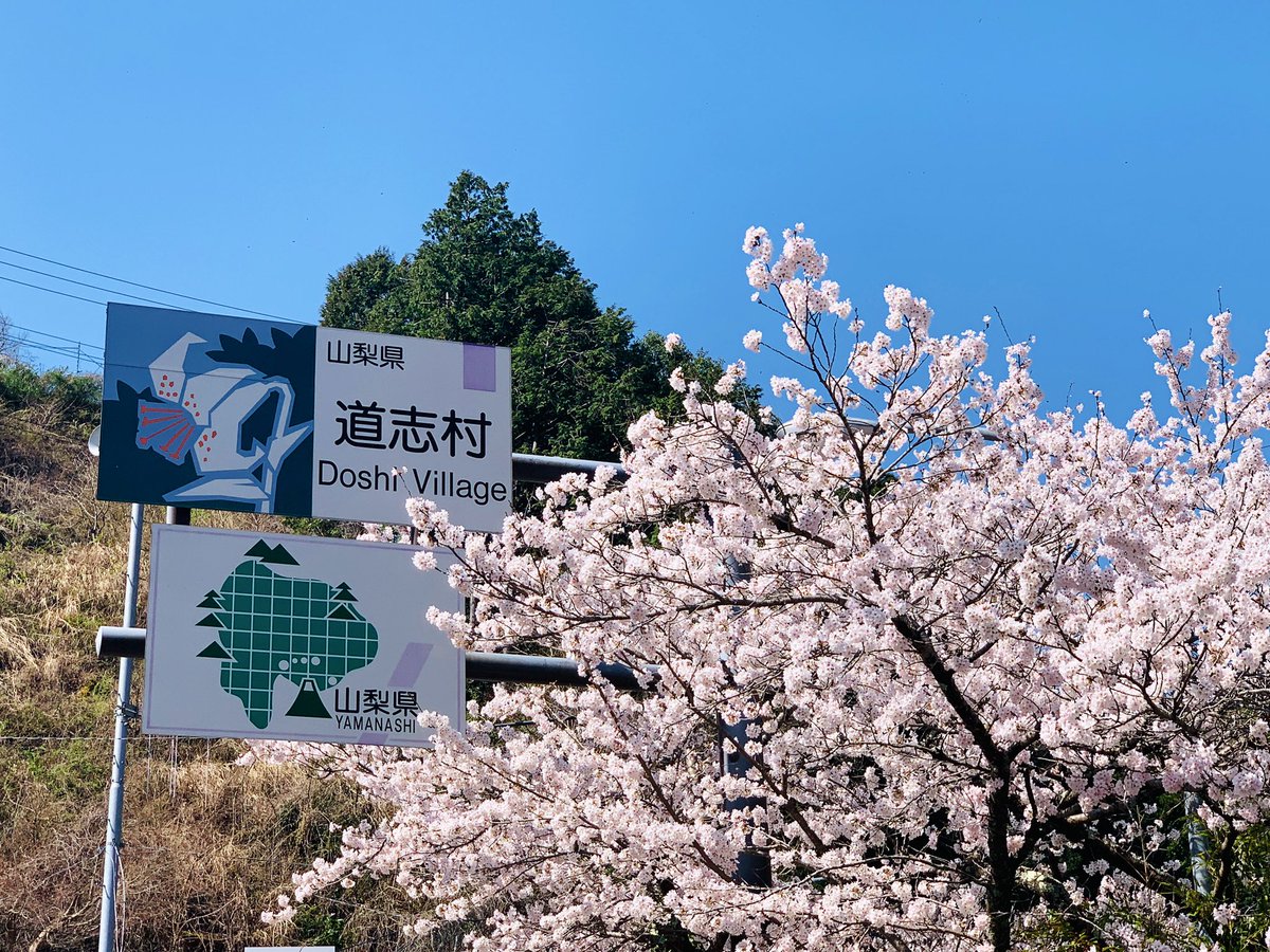 道志村観光公式 Doshiofficial Twitter