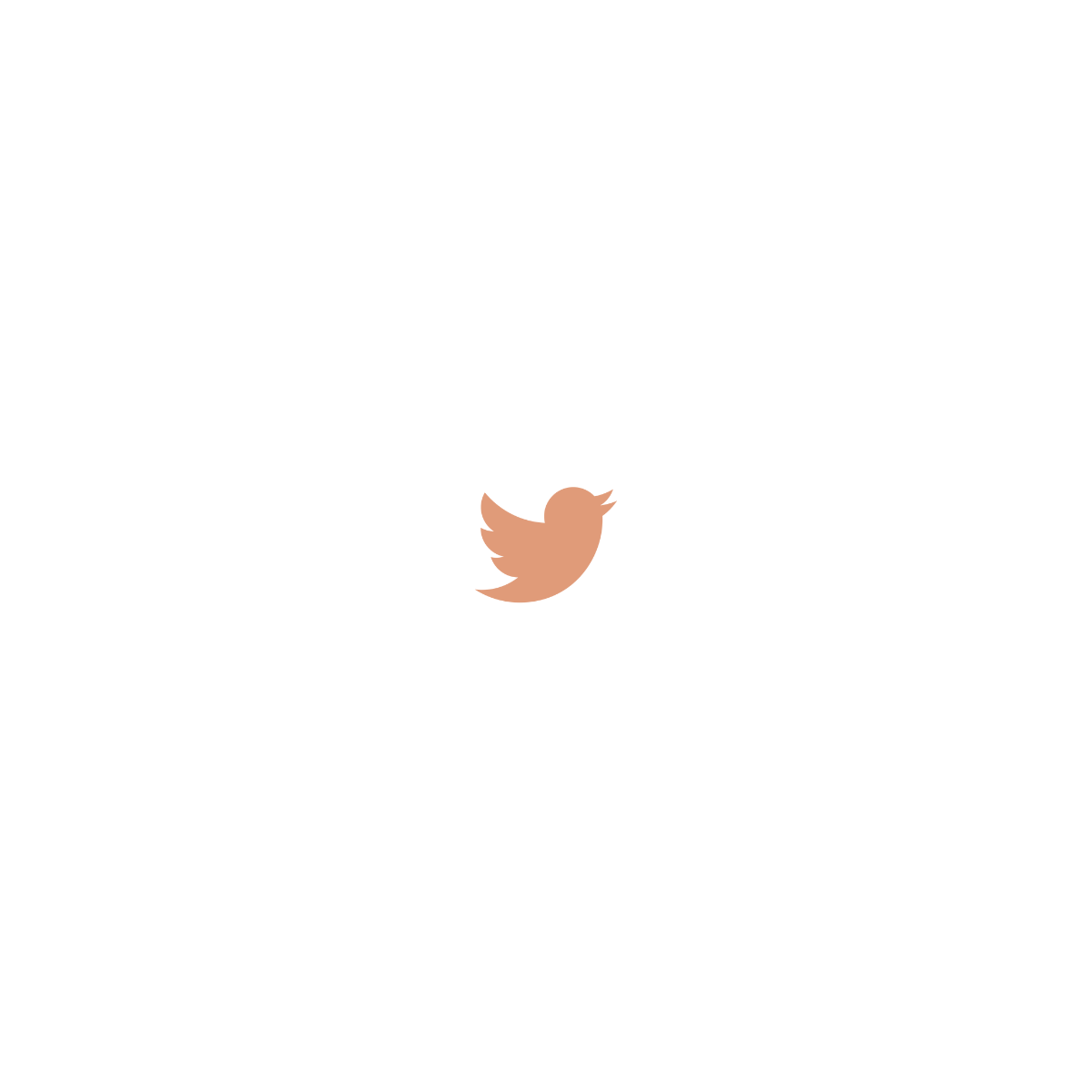axinfy's tweet photo. how to make your twitter orange and mature 🌻🤙 https://t.co/5PxLJtcE6Y