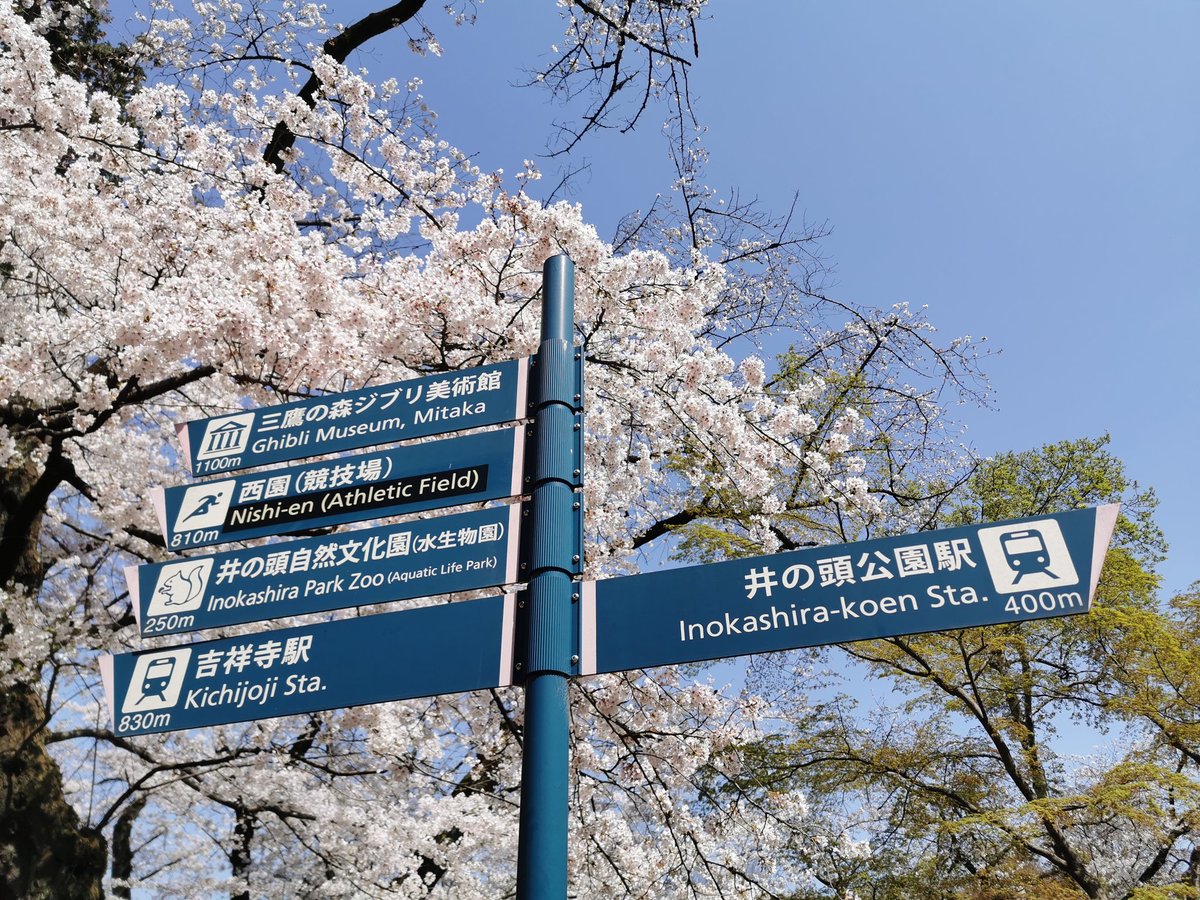 ブルースカイコーヒー ブルースカイコーヒーは花見期間の休業中です 別業態として営業しています 店頭及びネット通販でのコーヒー豆販売は行っています