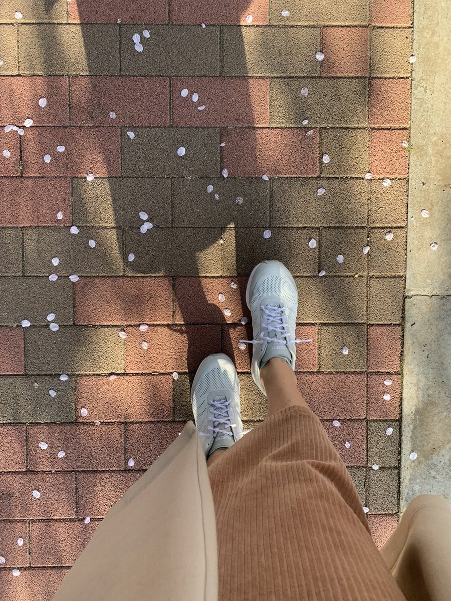 yuzuseasons's tweet photo. 散り始めた
#デサントライブラン
#DRMOVE
足に馴染んできた🌸 https://t.co/3NP6l2yvxV