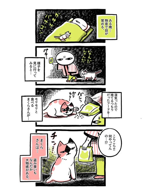 ヨボヨボの迷い猫を保護したら、思いのほか大物だった話 