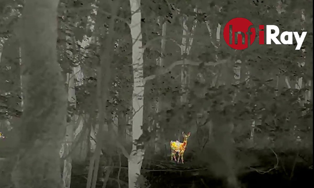 12μm technology has been widely used)+ F1.0 thermal lens+proprietary Matrix III algorithm. the clear image of infiRay Outdoor devices and to provide more and better devices with clearer image "yes" will be our power.#infirayoutdoor #thermalhunting #infirayoutdoorultraclear