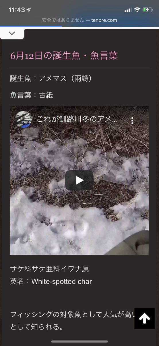 魚言葉 4797 魚言葉 真鯛 ゴルシ