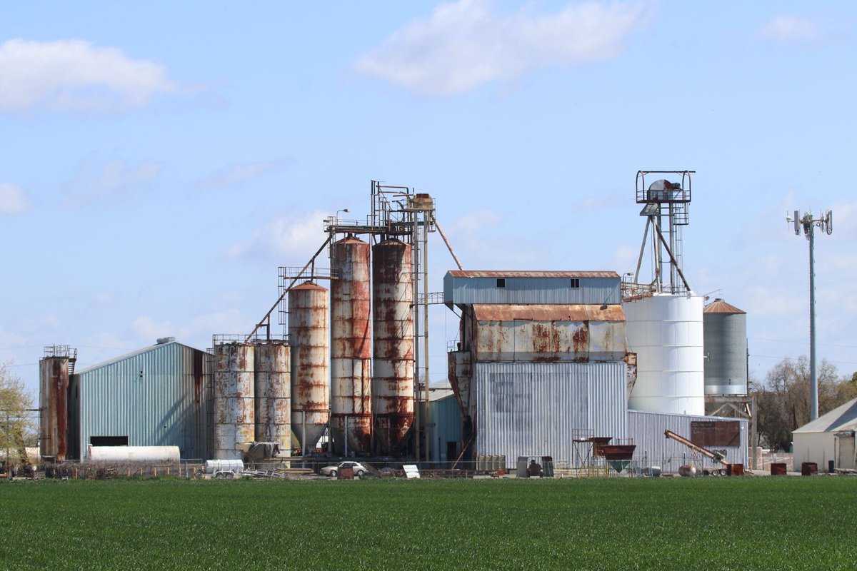 NorCAWater's tweet photo. A few spring scenes from the beautiful Sacramento Valley today. Jim Morris photos from Sutter and Colusa counties #sacvalley #bloom @CDFAnews https://t.co/K0F1h8TPf8