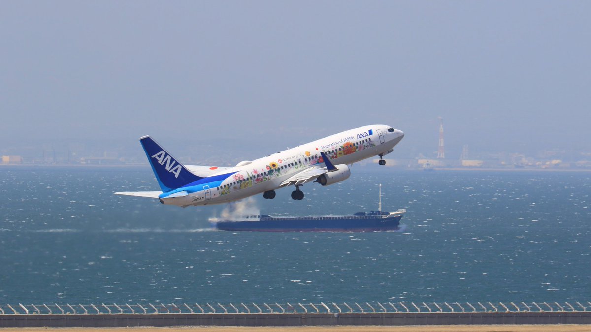 中部国際空港セントレア Anaのフラワージェットがセントレアから新千歳に向けて離陸しました 華やかなフラワージェットで春のお出かけしたいですね 中部国際空港セントレア Anaのフラワージェットがセントレアから新千歳に向けて離陸しました 華やかなフラワージェットで春のお出かけしたいですね