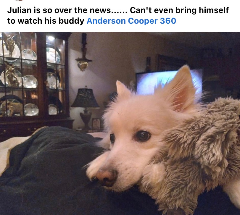 BlakeDeveraux's tweet photo. Julian on Jan 7th so over the craziness he can’t even watch his favorite guy @andersoncooper https://t.co/8jFqoRmbb6