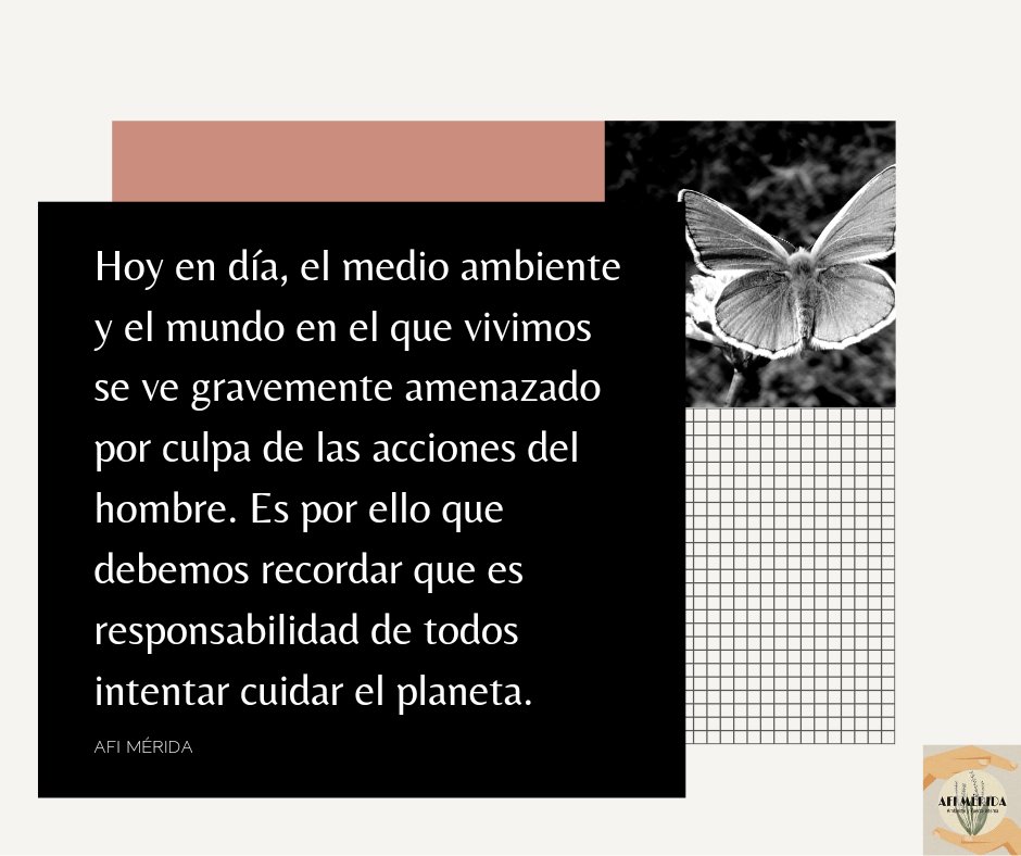afimerida's tweet photo. Hola seguidores, está es una agradable noche para reflexionar sobre:
#AFIambiental #cuidaelplaneta #conciencia #AltoALaContaminación https://t.co/h6YT30LWT2