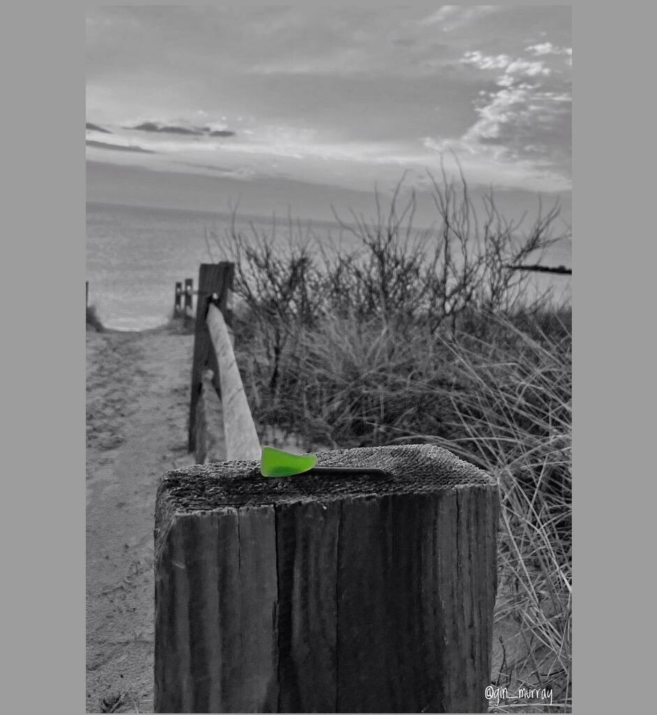 gin_murray's tweet photo. If not for the beer drinkers I’d never find any glass at the Bay! #DelawareBay North #CapeMay #jerseyshore #njbeaches #njwx #njspots #bayshorebeyond #dotheshore #CapeMayScene #yesnj #CapeMayGinshots #njescape #onlyinnewjersey #lovecapemay #shareyourspacenj #discovernj https://t.co/1qlzEoVetx