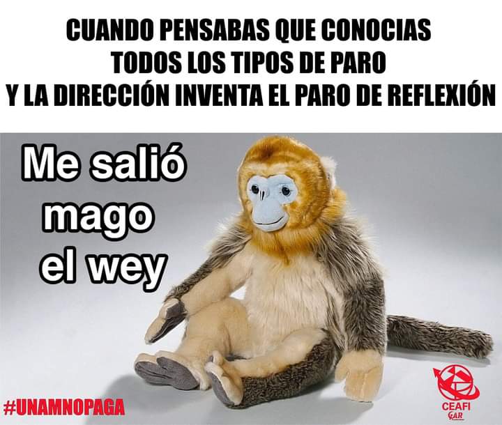 difusionfi's tweet photo. Ese no lo conocíamos #UNAMNoPaga
#UNAMPagaIncompleto
#laFInonosEscucha
#EscalanteDalaCara
#CienciasUNAMNoPaga https://t.co/CAOV5KxCNr