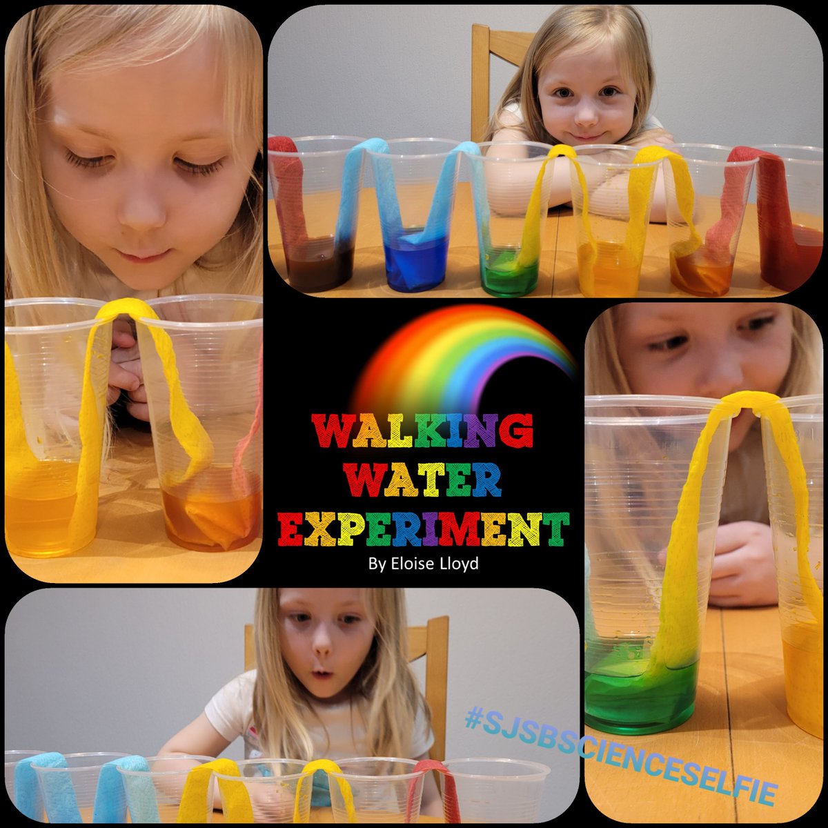 J81oz's tweet photo. https://t.co/orrVexeg9t Eloise's last minute entry in the 2021 Science Week Competition #SJSBScienceSelfie
@whalley_mr @MissO_Neill @kazyriley https://t.co/o8J0JWQbXj