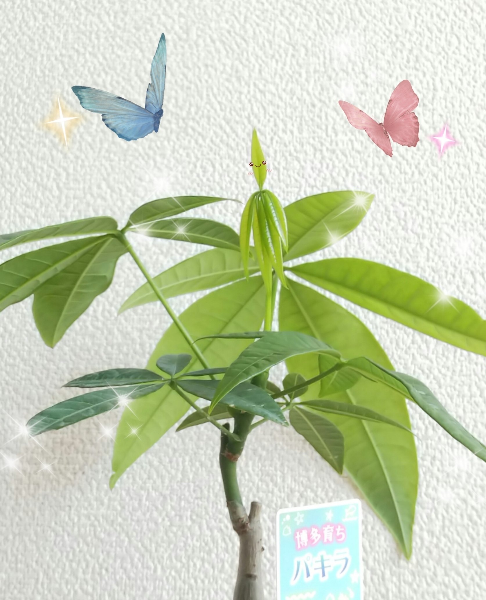 妖精みたい Twitter Search Twitter